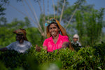 Devagiri Estate Ceylon BOP1