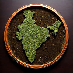 NWS India