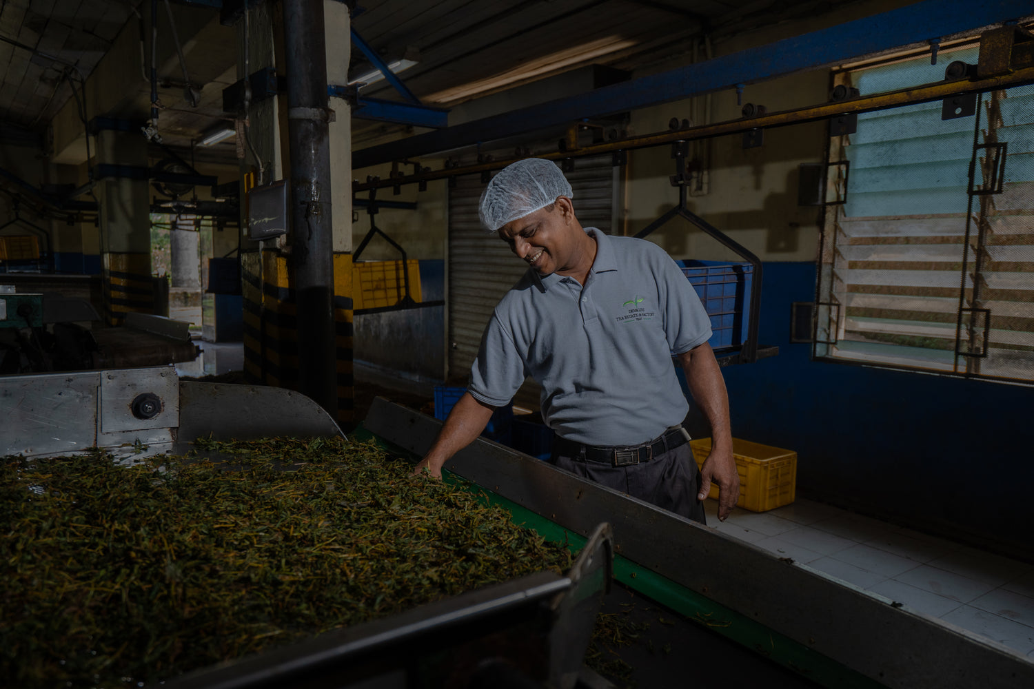 Devagiri Estate Ceylon Short Orange Pekoe