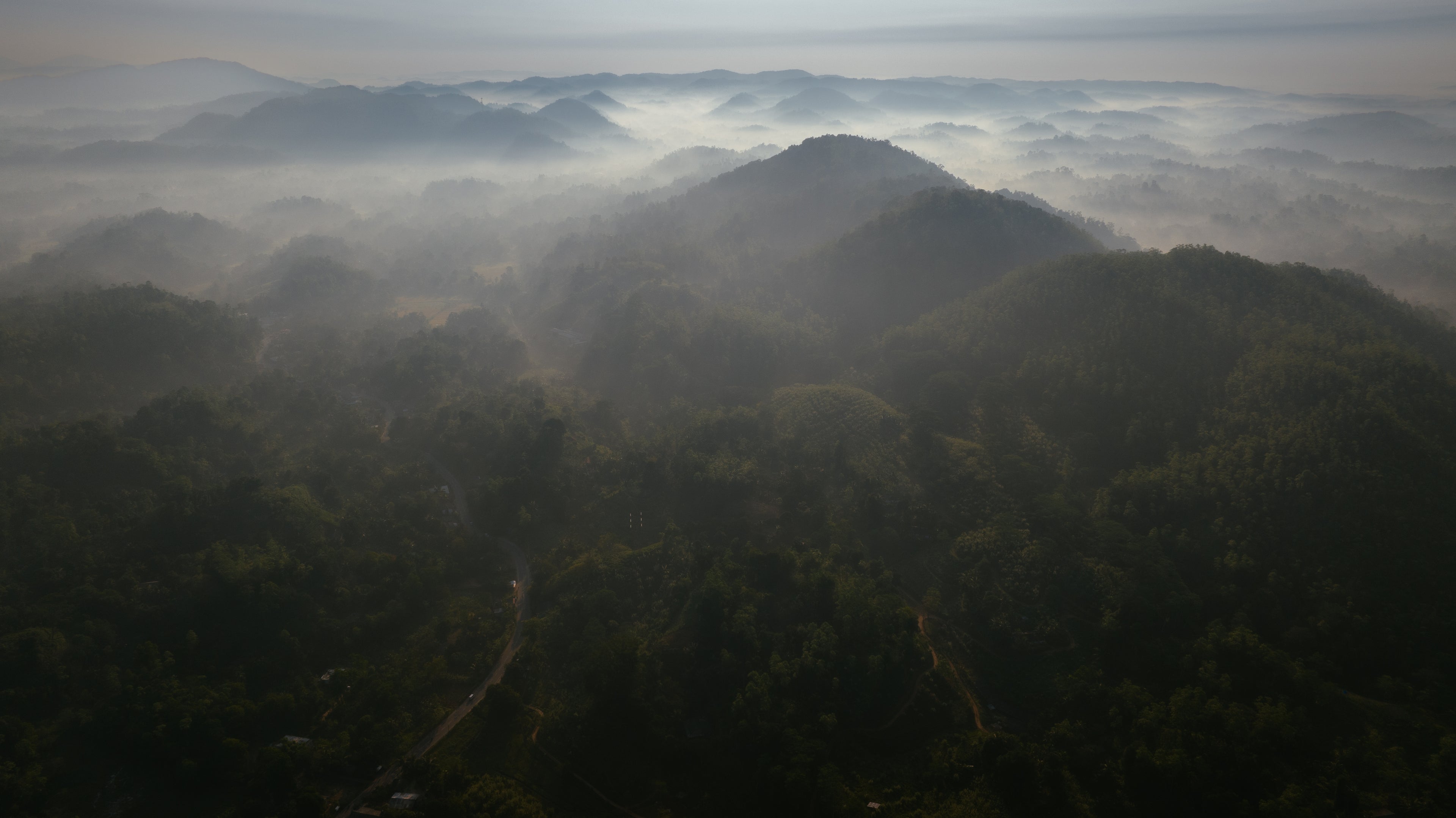 Hazy mountain landscape with dense forest