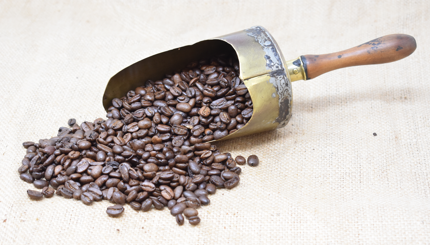 Sumatra Lintong