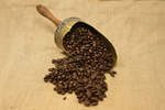 Sumatra Lintong dark roast coffee beans spilling from an antique brass scoop on hessian fabric