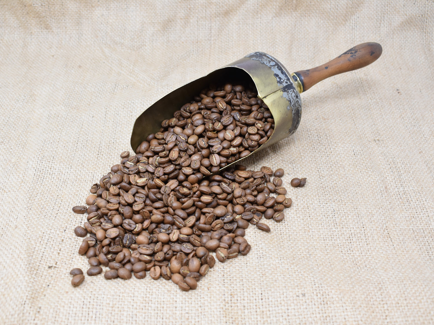 Mocha/Mysore