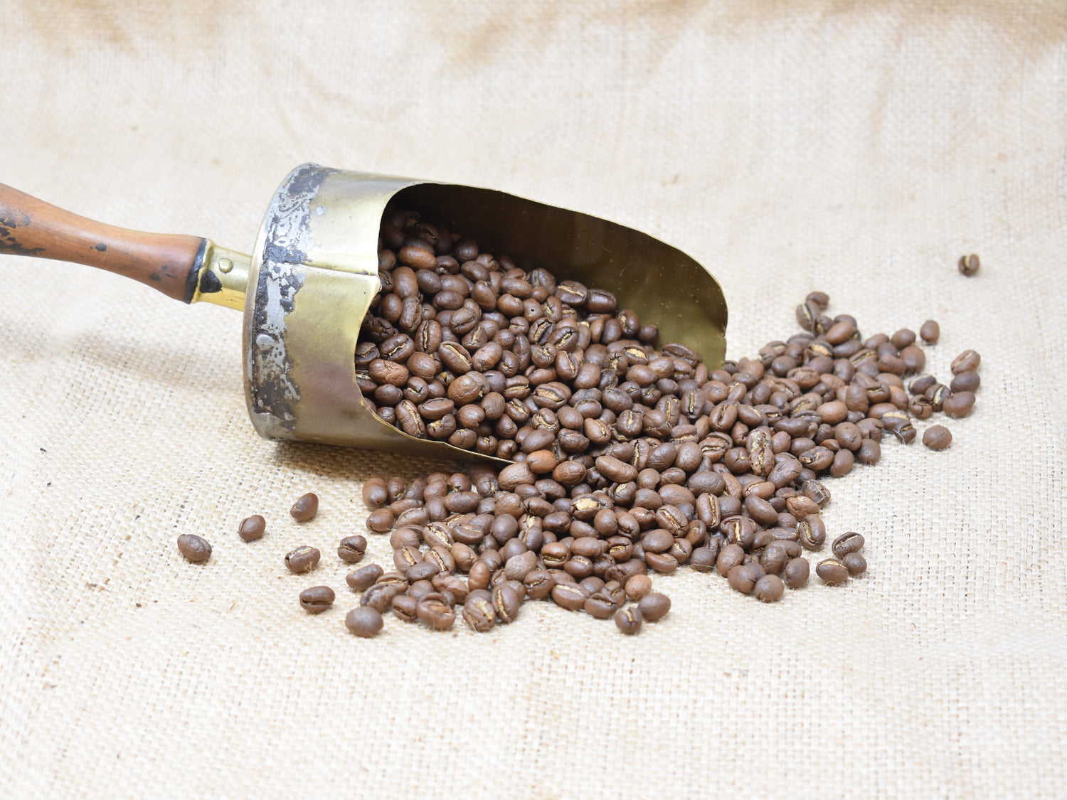 Kenya Peaberry