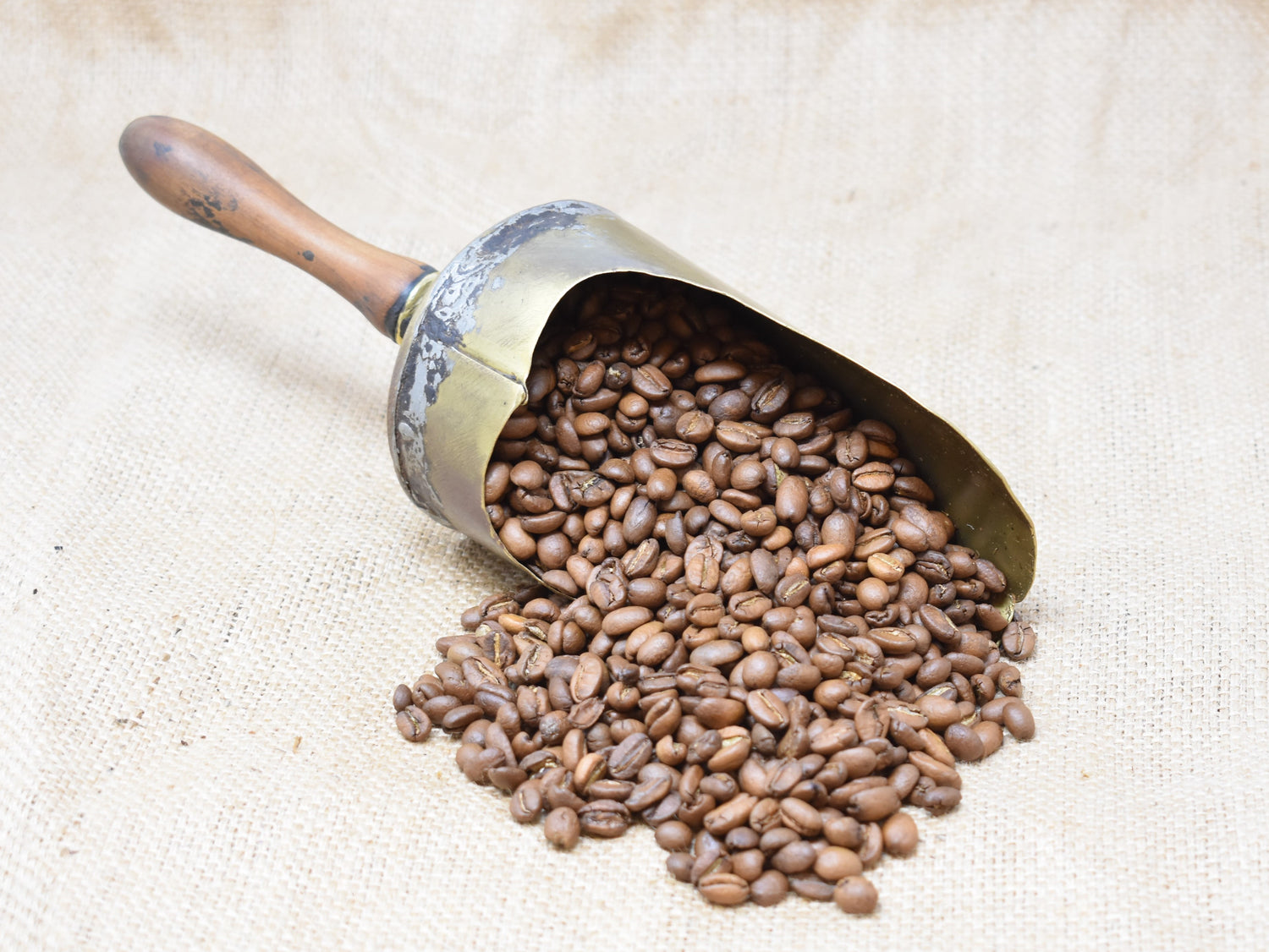 Mocha Djimmah