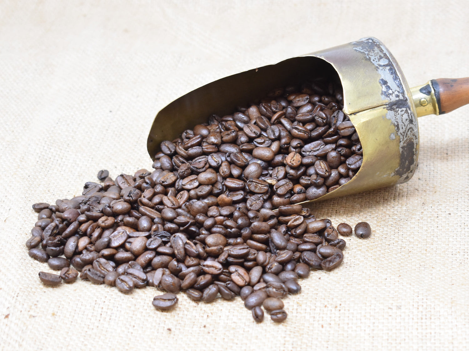 Sumatra Lintong