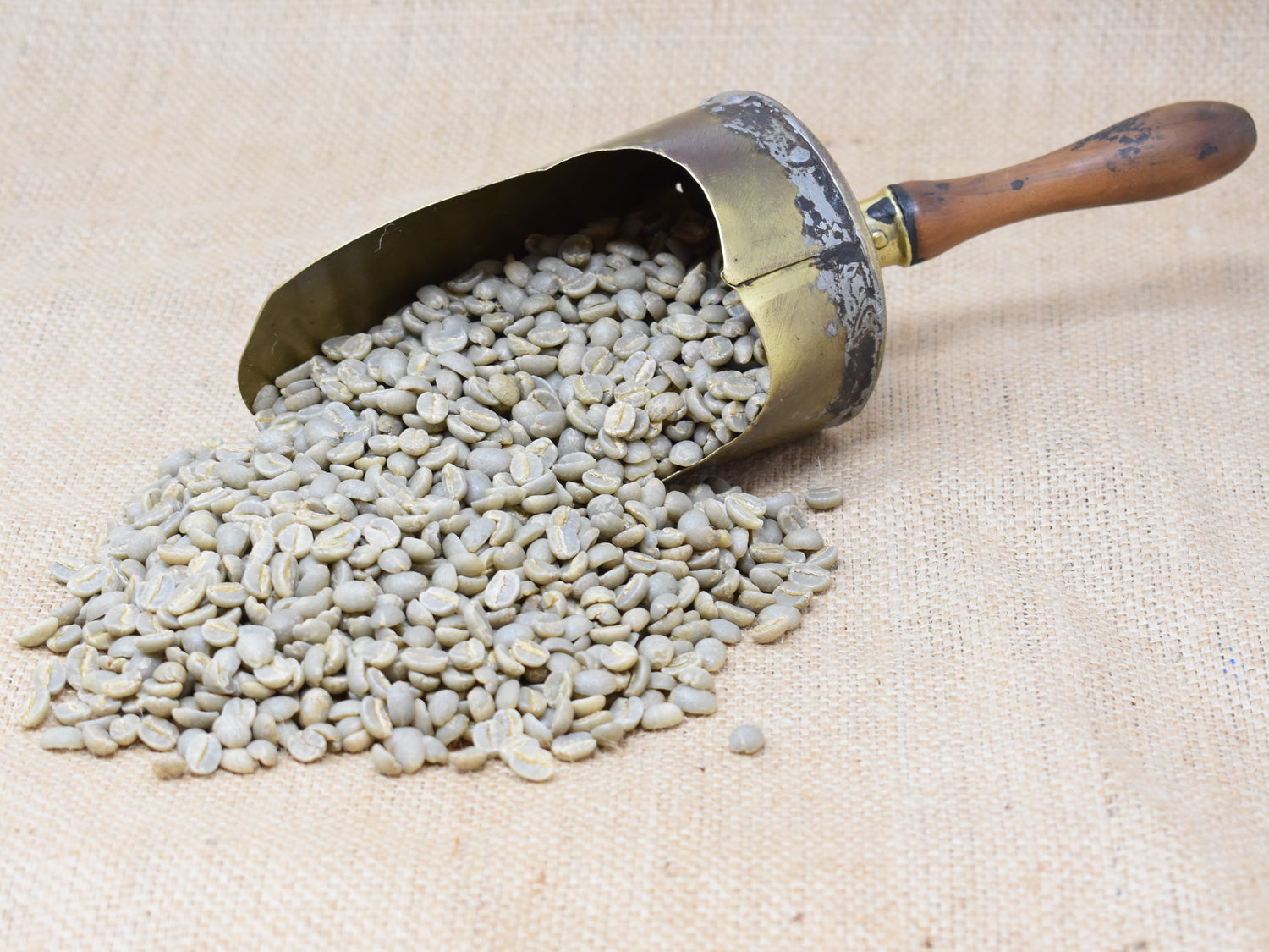 Unroasted Santos