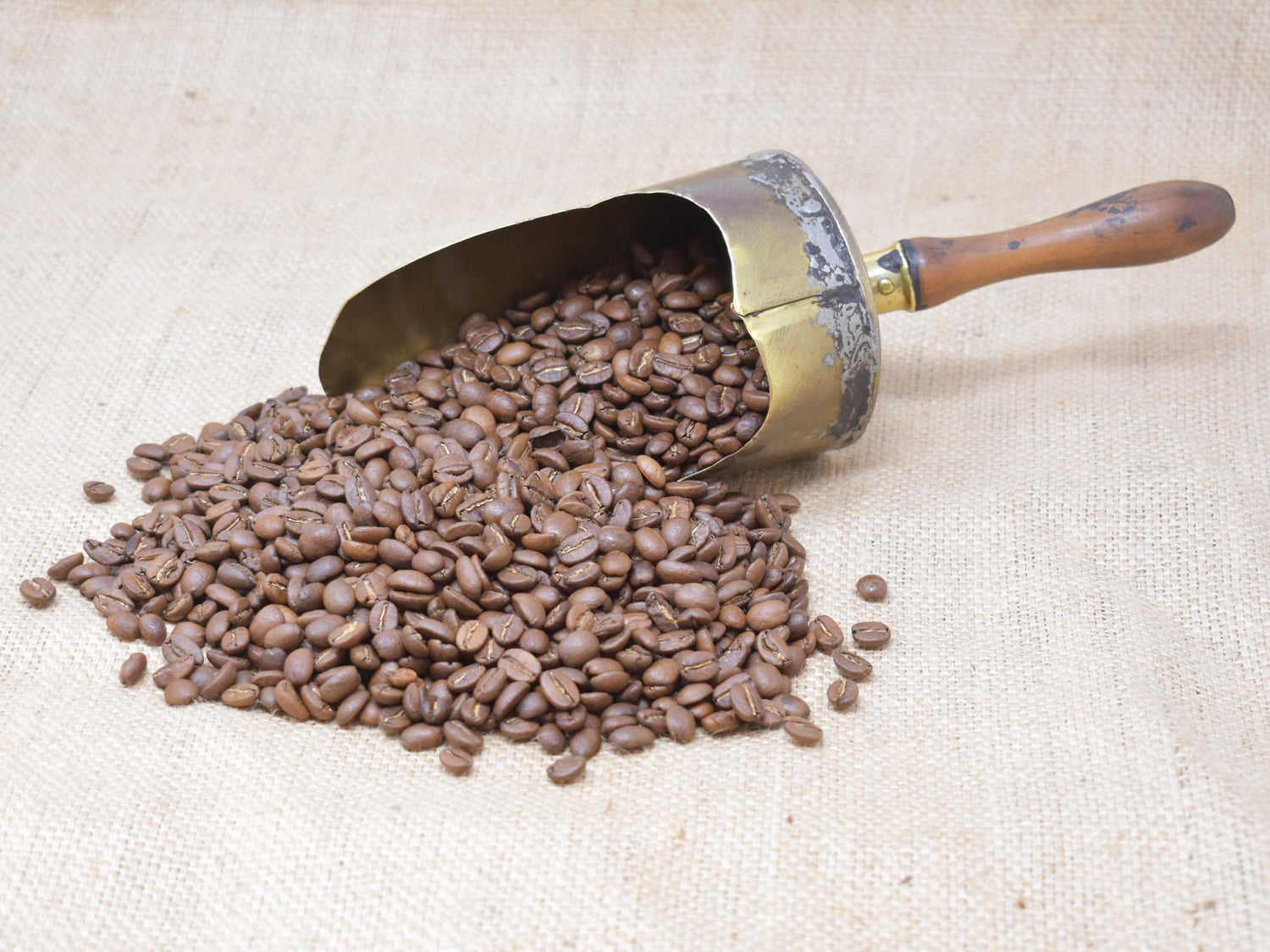 Mexican Altura Finca Aurora Oaxaca
